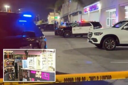 Customer shoots dead alleged creep who groped shopper, threatened to kill everyone inside LA beauty store