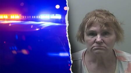 Michigan babysitter accused of sexually abusing children in her care faces 47 charges, police say Michigan babysitter accused of sexually abusing children in her care faces 47 charges, police say