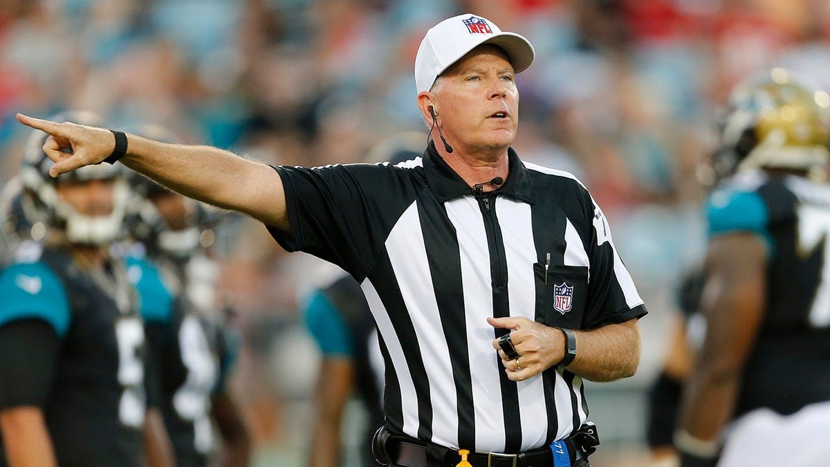 Terry McAulay makes a call during a game