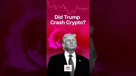 Did Trump Trigger the Crypto Crash? #trump #shortsfeed #shortsviral
