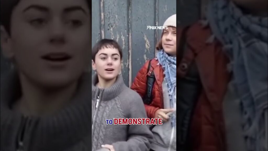 Greta Thunberg fined for ‘DISRESPECTFUL ACT’ in Venice #shorts #us #news #foxnews #gretathunberg