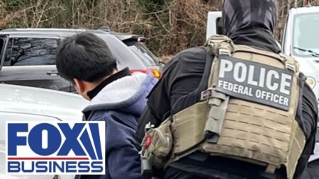 ‘CHAOS’: Massive immigration FRAUD suspected in Minnesota’s Somalia community