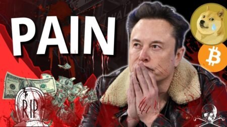 Dogecoin & Bitcoin News Today ! Here Is The TRUTH!