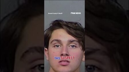 ‘Breaking Bad on STEROIDS’: Sheriff unveils record drug bust #shorts #us #news #drugbust