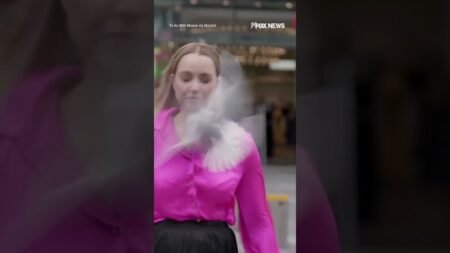 Reporter is interrupted when a bird dive-bombs right into her face Reporter is interrupted when a bird dive-bombs right into her face