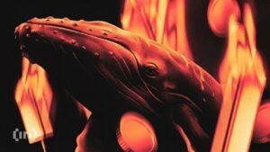 What Cardano Whales’ 1 Million ADA Accumulation Means for Price What Cardano Whales’ 1 Million ADA Accumulation Means for Price