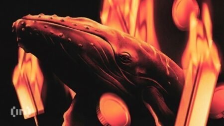 What Cardano Whales’ 1 Million ADA Accumulation Means for Price