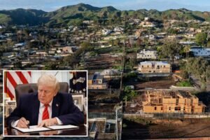 Exclusive | Trump signs executive order for feds to take over LA’s ‘nightmare’ wildfire rebuild in huge boost for victims: ‘Get our family back home’