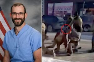 Alex Pretti’s sister slams ‘disgusting lies’ about brother after he was killed during Minn. anti-ICE protests: ‘When does this end?’