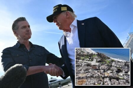 Gov. Gavin Newsom begs Trump for help rebuilding fire-ravaged LA neighborhoods: ‘Please!’