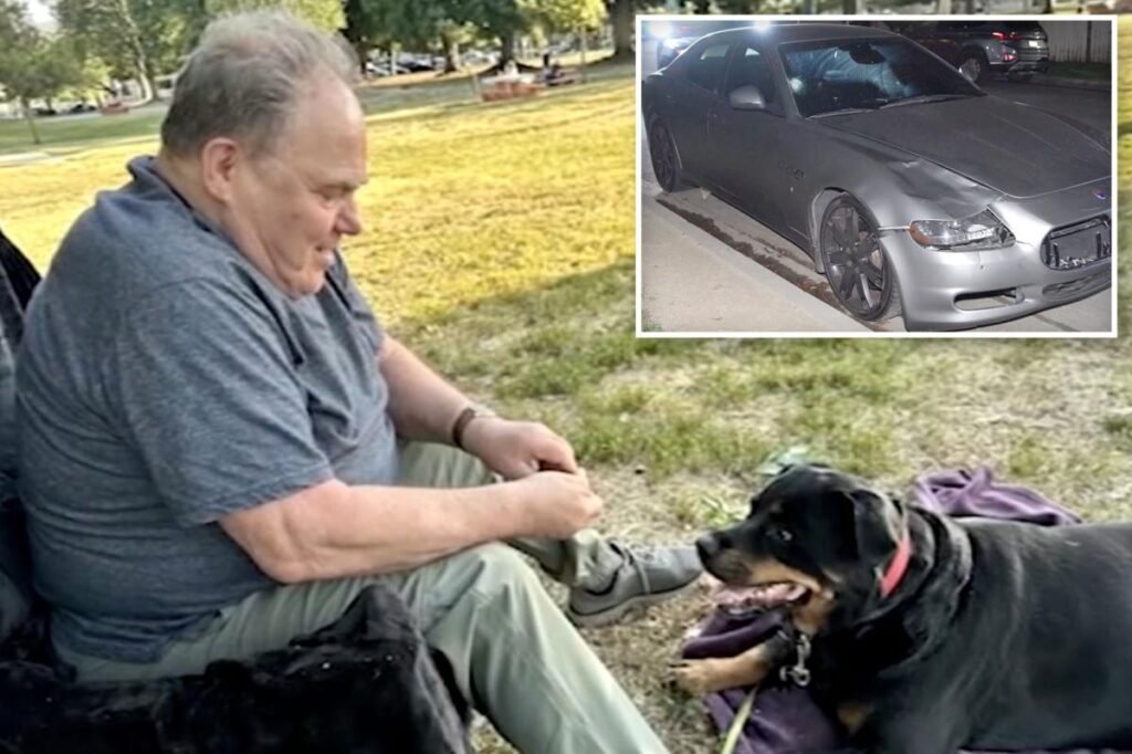 Holocaust survivor IDed as man, 80, killed in Maserati hit-and-run while walking his dog