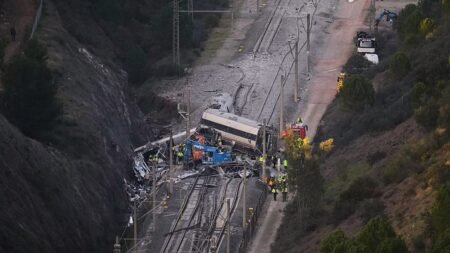 Sabotage: Misleading claims spread over Spain’s train tragedies