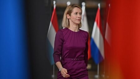 Shift in EU-US relations is ‘structural, not temporary’, Kallas warns