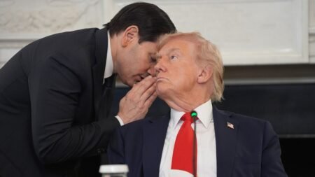 Trump hails Rubio as diplomatic mentor as secretary of state’s power grows