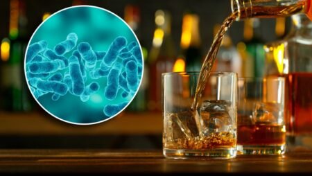 Researchers Find Fix For Bizarre Syndrome That Brews Booze In Your Belly Researchers Find Fix For Bizarre Syndrome That Brews Booze In Your Belly
