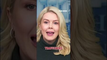 Leavitt: Minnesota Dems’ ‘wrong and illegal’ obstruction led to tragedy #shorts #us #news #ICE Leavitt: Minnesota Dems’ ‘wrong and illegal’ obstruction led to tragedy #shorts #us #news #ICE