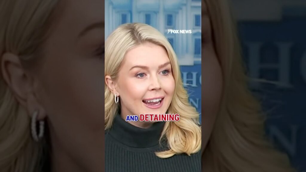 Leavitt outlines Trump’s NEW plan to end violence in Minnesota #foxnews #news #shorts