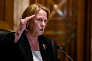 The 10 Most Serious Problems Taxpayers Have With The IRS