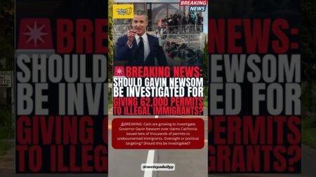 🔥 CDL Scandal Hits California—Do You Support Investigating Gavin Newsom 💥 #BreakingNews #USNews #N
