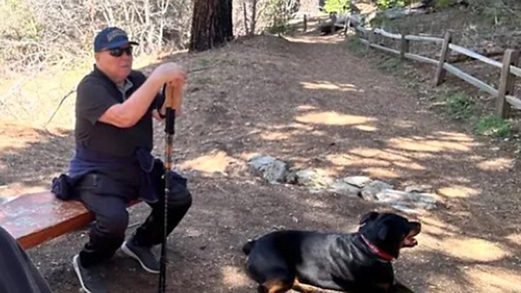 Holocaust survivor killed in Maserati hit-and-run crash