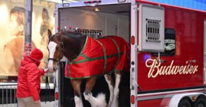 ‘American Icons’: Budweiser Goes Full Patriot in 2026 Super Bowl Ad