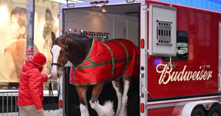 ‘American Icons’: Budweiser Goes Full Patriot in 2026 Super Bowl Ad