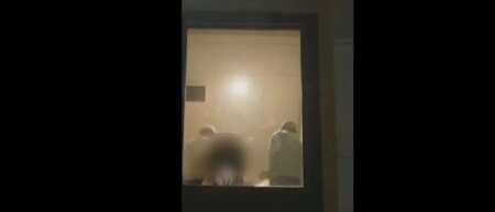 Anti-ICE Rioters See Full Moon, Bird, While Mobbing Hotel Reportedly Housing Federal Agents