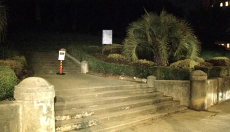 Mountain lion sightings put San Francisco’s posh Pacific Heights on high alert