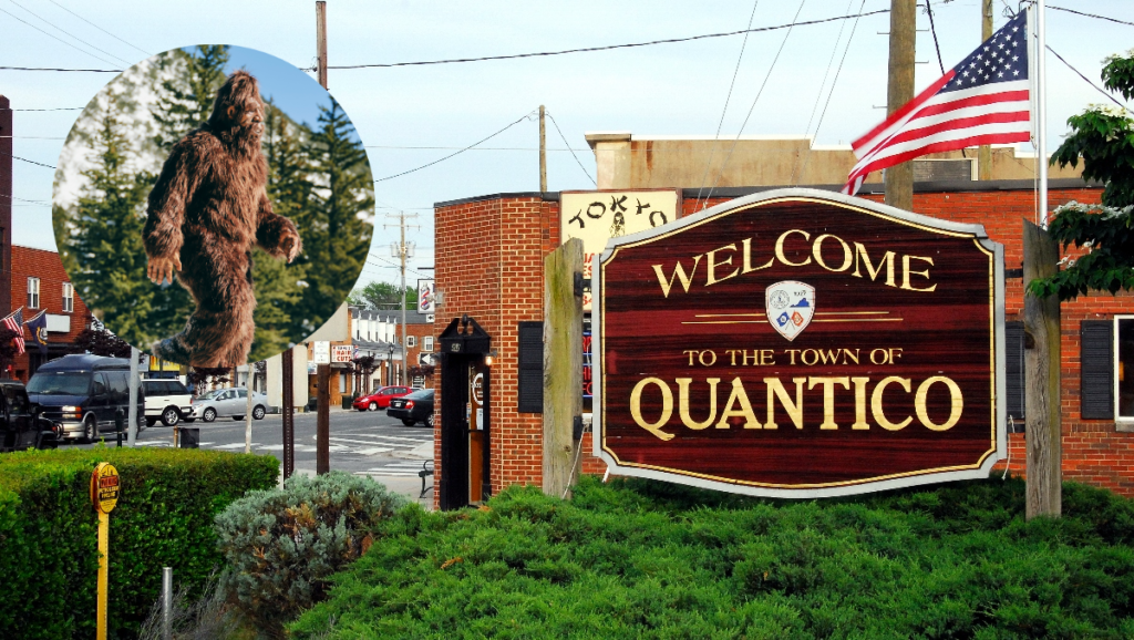 Marines In Restricted Military Training Area On Quantico Marine Base Report Seeing A Bigfoot Marines In Restricted Military Training Area On Quantico Marine Base Report Seeing A Bigfoot