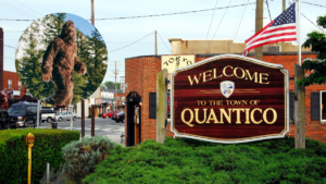 Marines In Restricted Military Training Area On Quantico Marine Base Report Seeing A Bigfoot