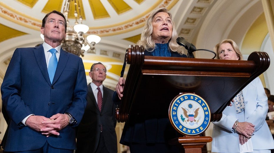 Senator Cynthia Lummis speaks at a press conference