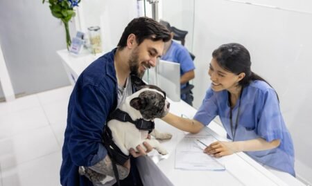 Progressive pet insurance review 2026