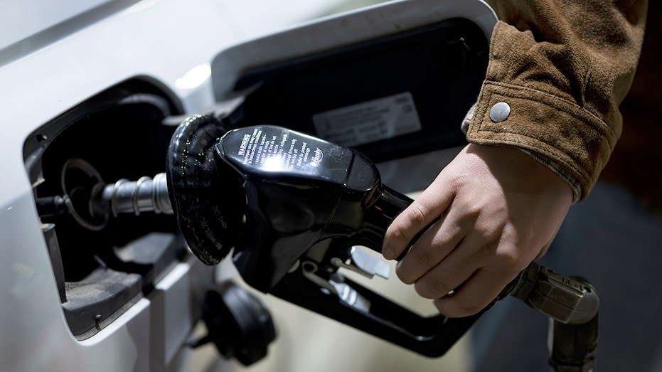 Person puts gas in vehicle